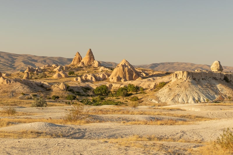 Arid Wonders